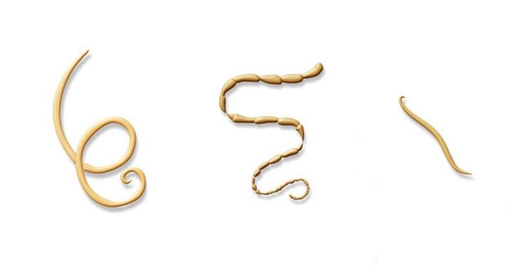 Вологдадағы үй порносы